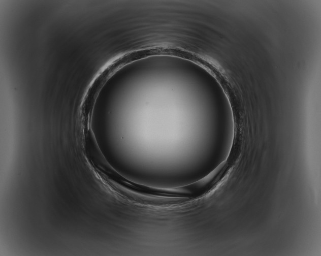 X0000087741118200705071047