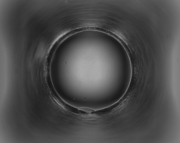 X0000087741119200705071047