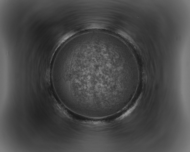 X0000087741121200705071047