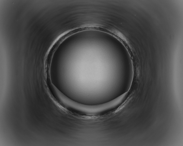X0000087741124200705071047