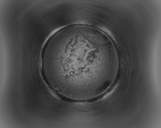 X0000087741125200705071047