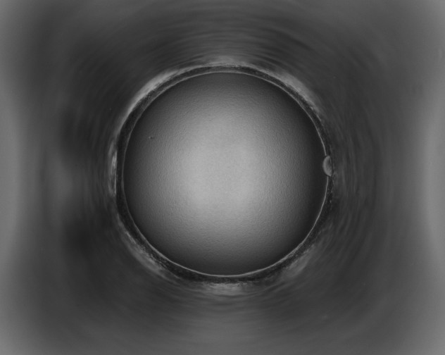 X0000087741126200705071047