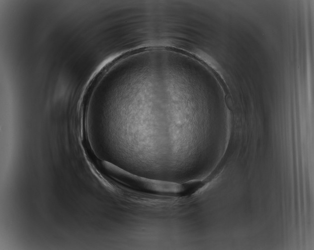 X0000087741127200705071047