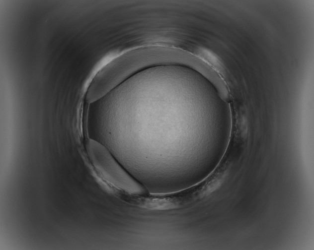 X0000087741128200705071047