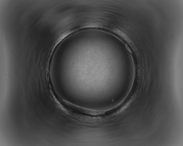 X0000087741129200705071047