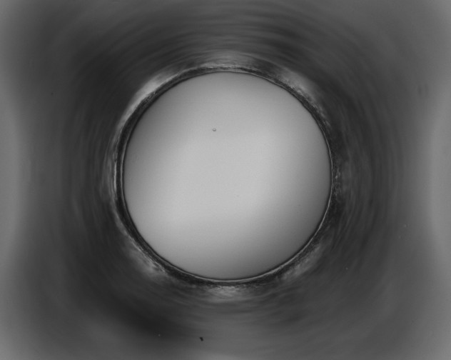 X0000087741130200705071047