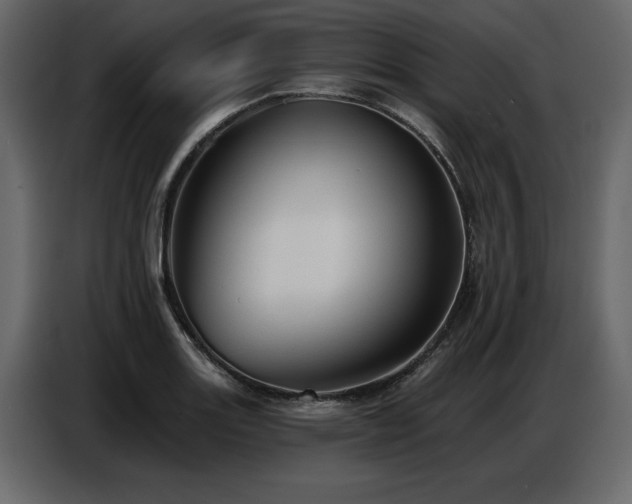 X0000087741131200705071047