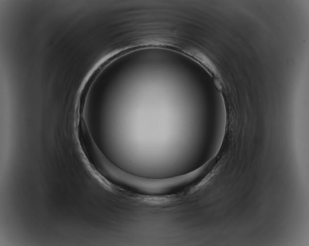 X0000087741132200705071047