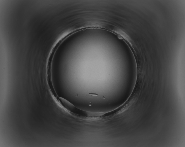 X0000087741135200705071047