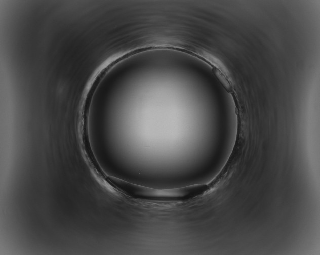 X0000087741136200705071047