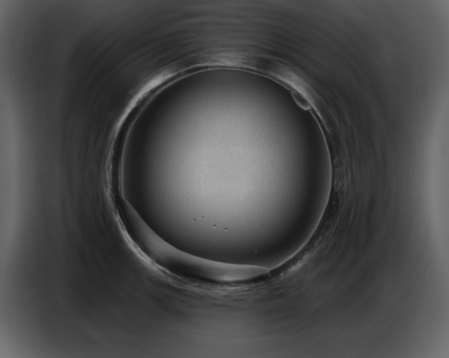X0000087741139200705071047