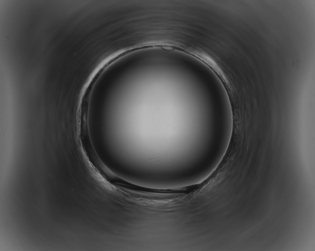 X0000087741140200705071047