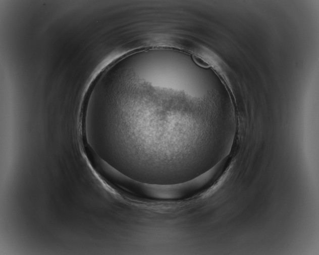 X0000087741141200705071047