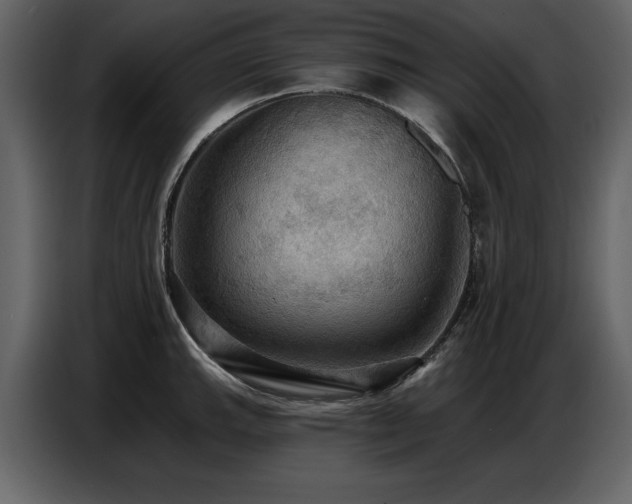 X0000087741143200705071047