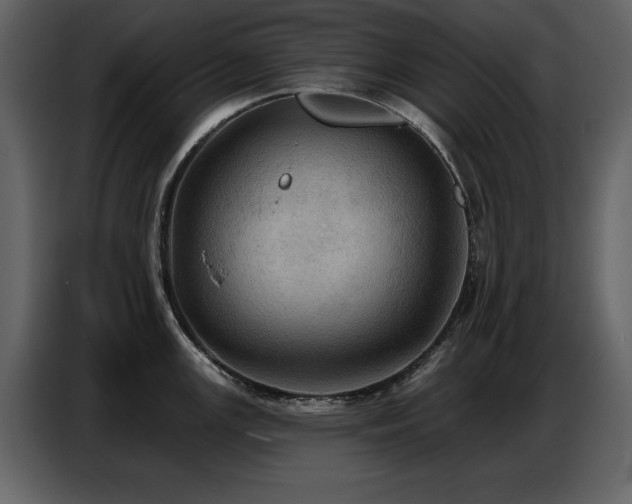 X0000087741147200705071047