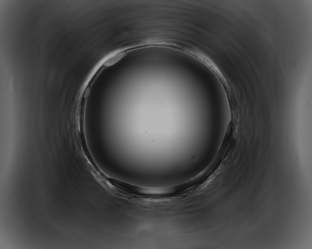 X0000087741148200705071047
