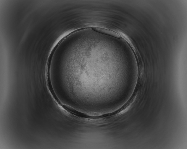 X0000087741149200705071047