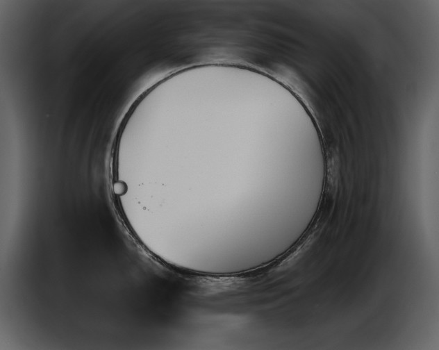X0000087741150200705071047