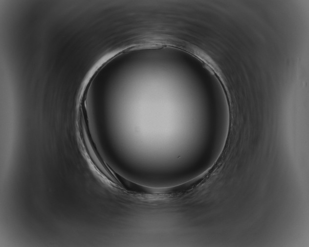 X0000087741152200705071047