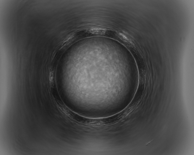 X0000087741154200705071047