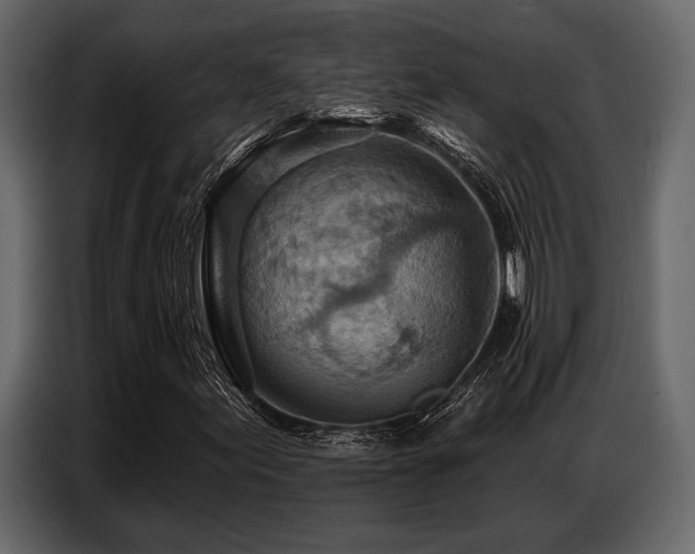 X0000087741155200705071047