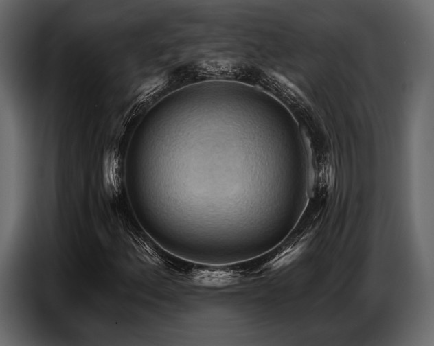 X0000087741156200705071047