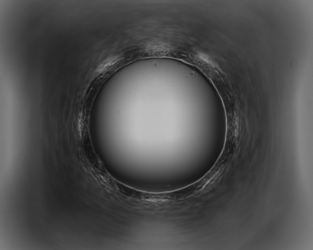 X0000087741157200705071047
