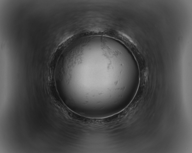 X0000087741158200705071047