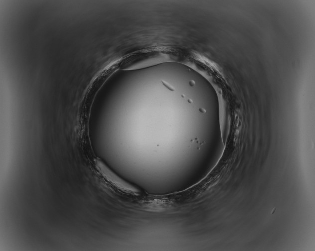 X0000087741160200705071047