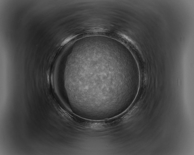 X0000087741161200705071047