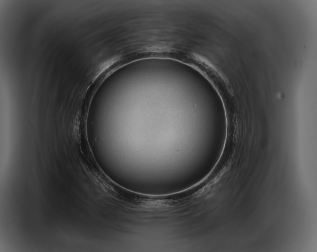 X0000087741162200705071047