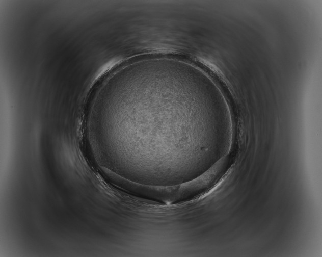 X0000087741163200705071047
