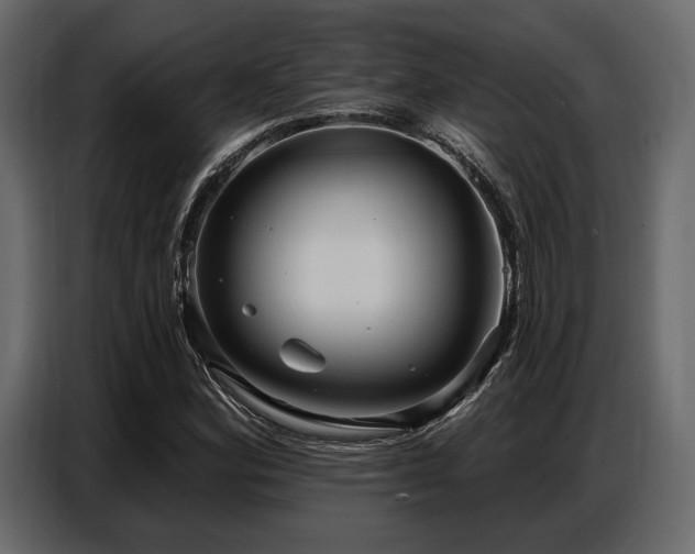 X0000087741164200705071047