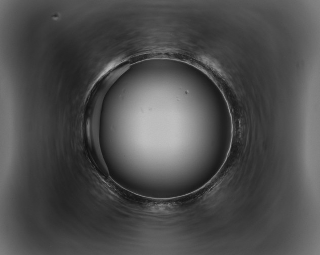 X0000087741165200705071047