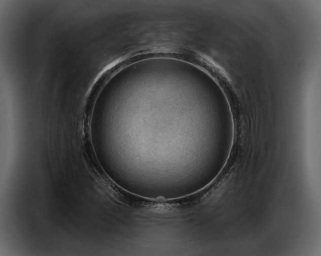 X0000087741166200705071047