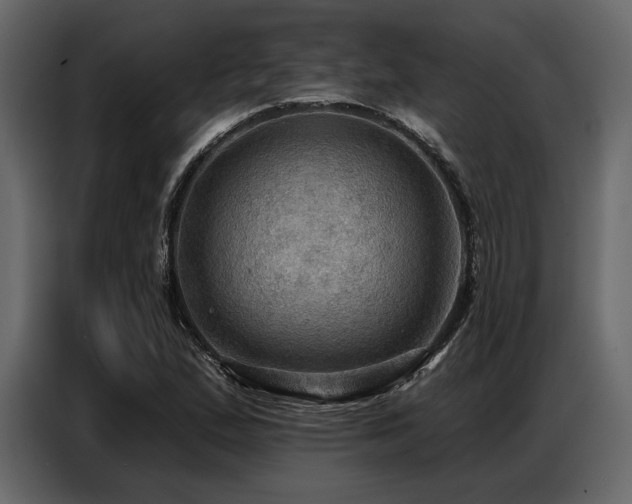 X0000087741167200705071047