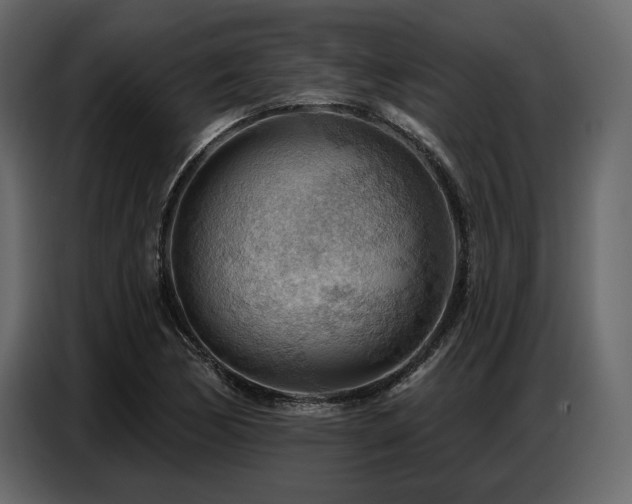 X0000087741170200705071046