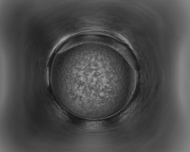 X0000087741171200705071046