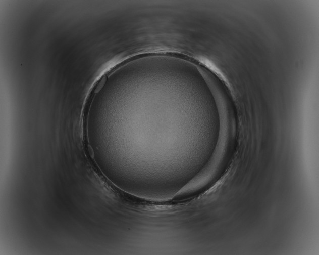 X0000087741173200705071046