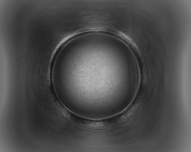 X0000087741174200705071046