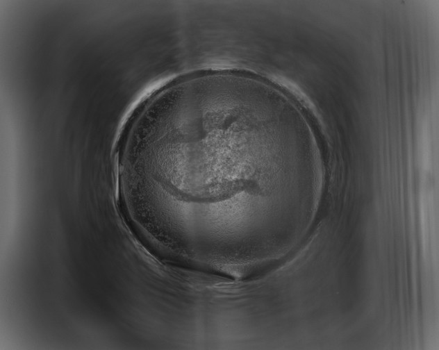 X0000087741175200705071046