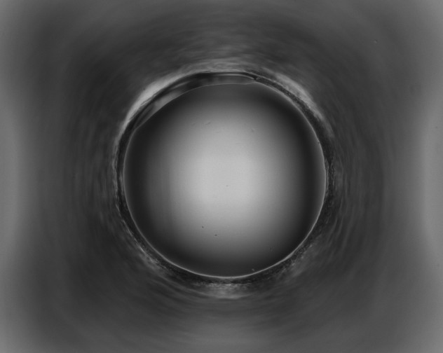 X0000087741176200705071046
