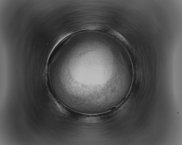 X0000087741178200705071046