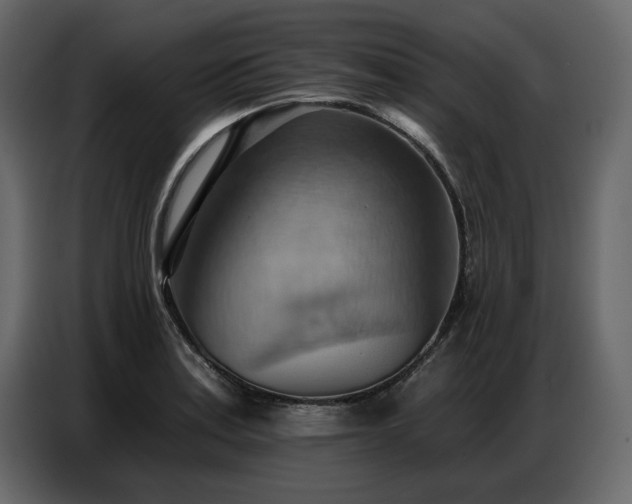 X0000087741179200705071046