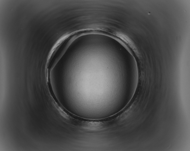 X0000087741180200705071046