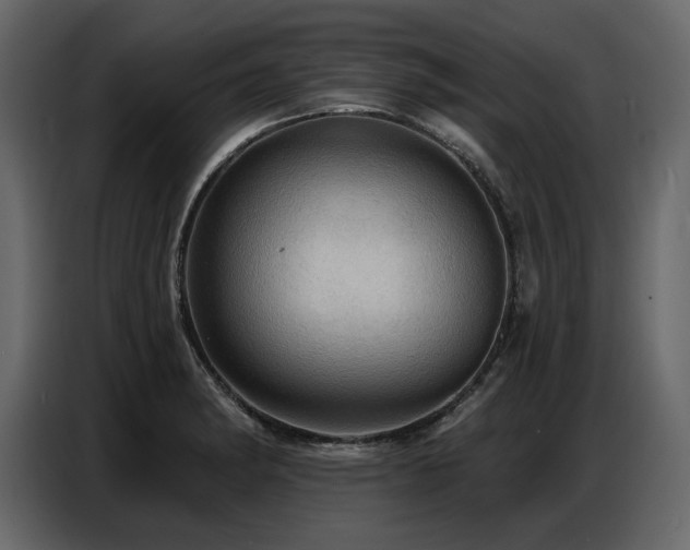 X0000087741182200705071046