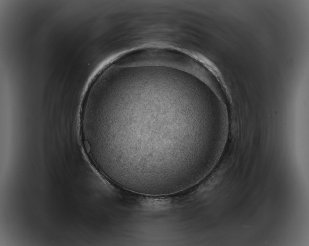 X0000087741183200705071046