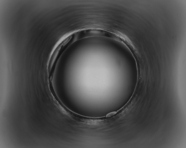 X0000087741184200705071046