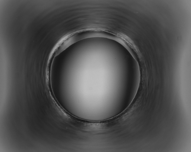 X0000087741188200705071046