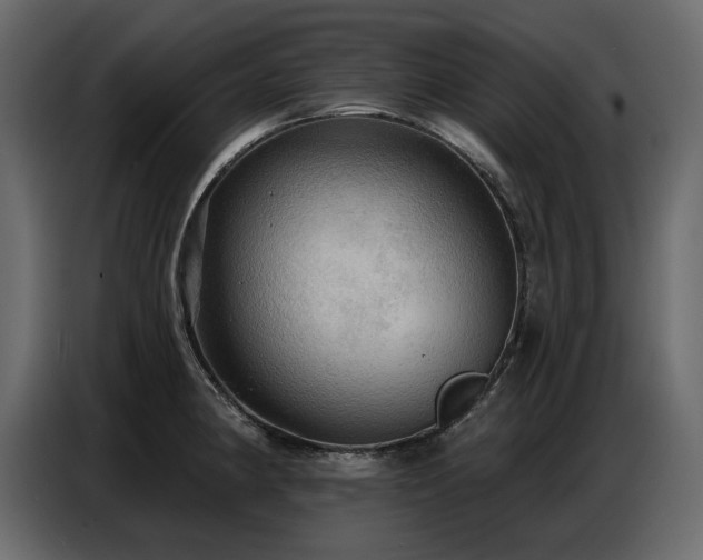 X0000087741190200705071046